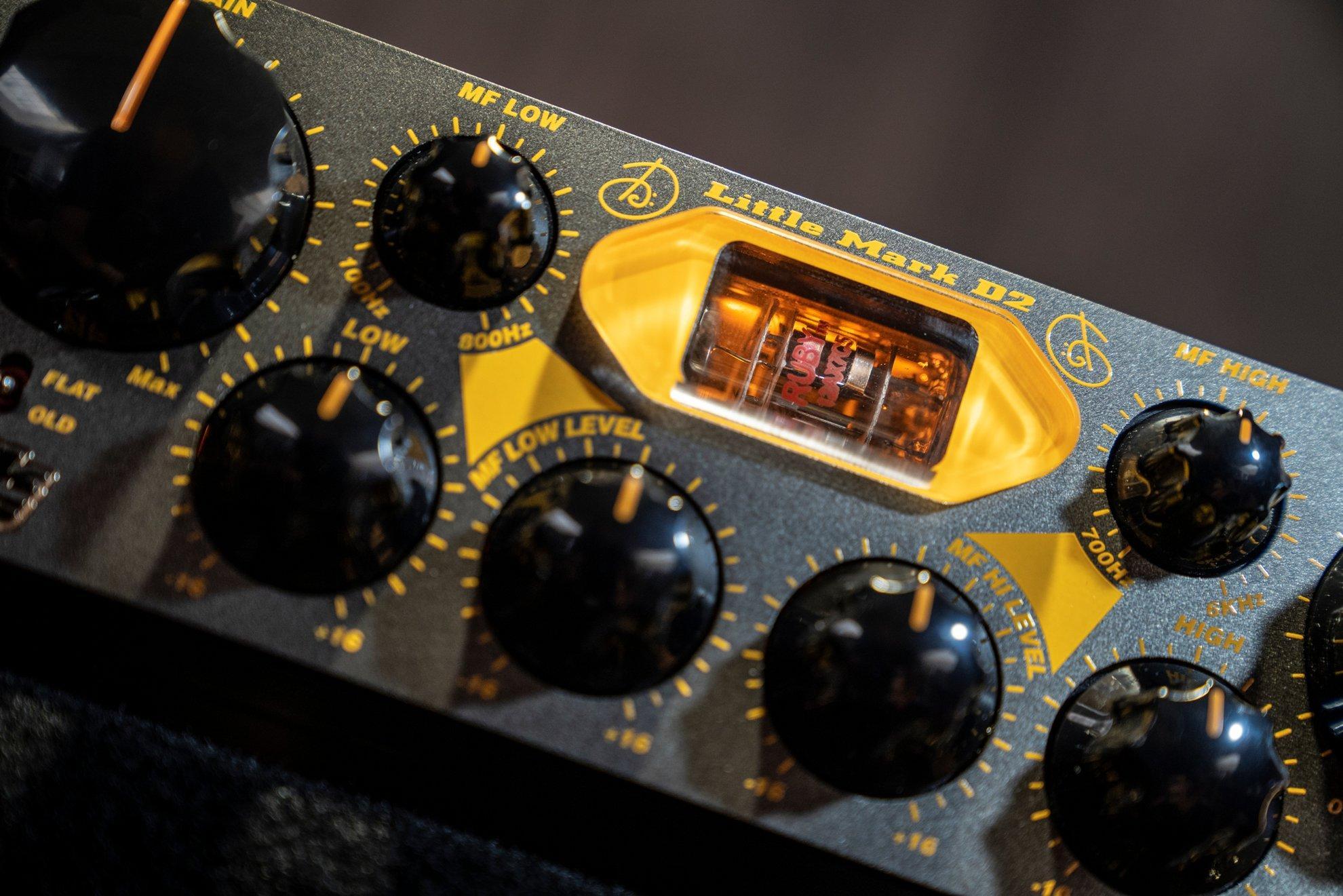 Mark Bass D2